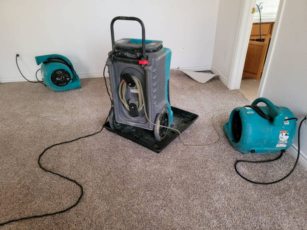 Best Local water damage restoration  in Antlers, OK