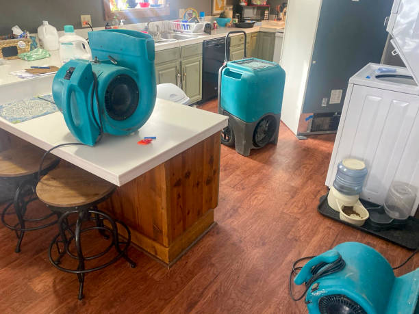 Best Carpet water damage restoration  in Antlers, OK