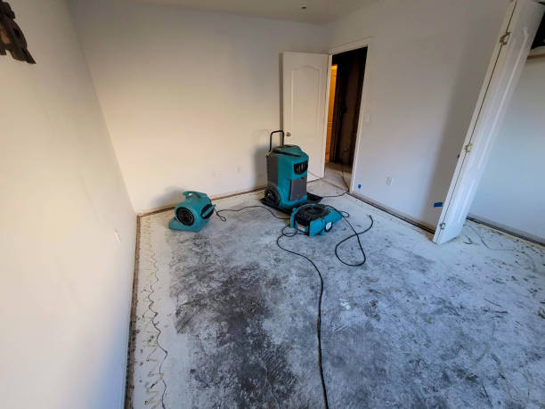 Best Water damage restoration process  in Antlers, OK