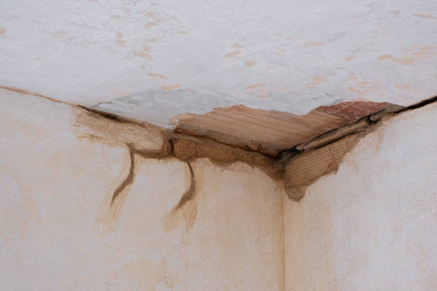 Best Water damage restoration near me  in Antlers, OK
