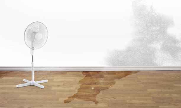 Best Water damage restoration experts  in Antlers, OK