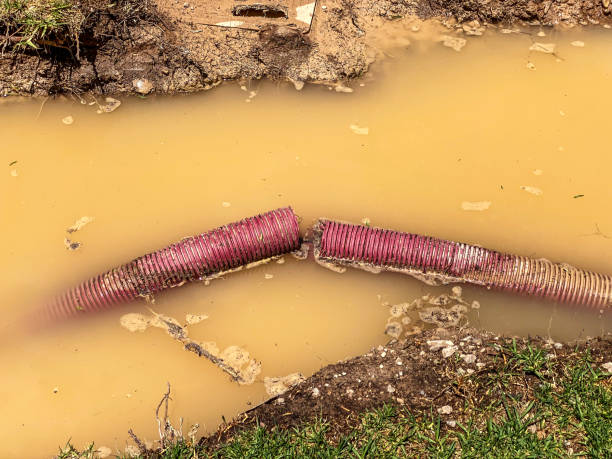  Antlers, OK Water damage restoration Pros